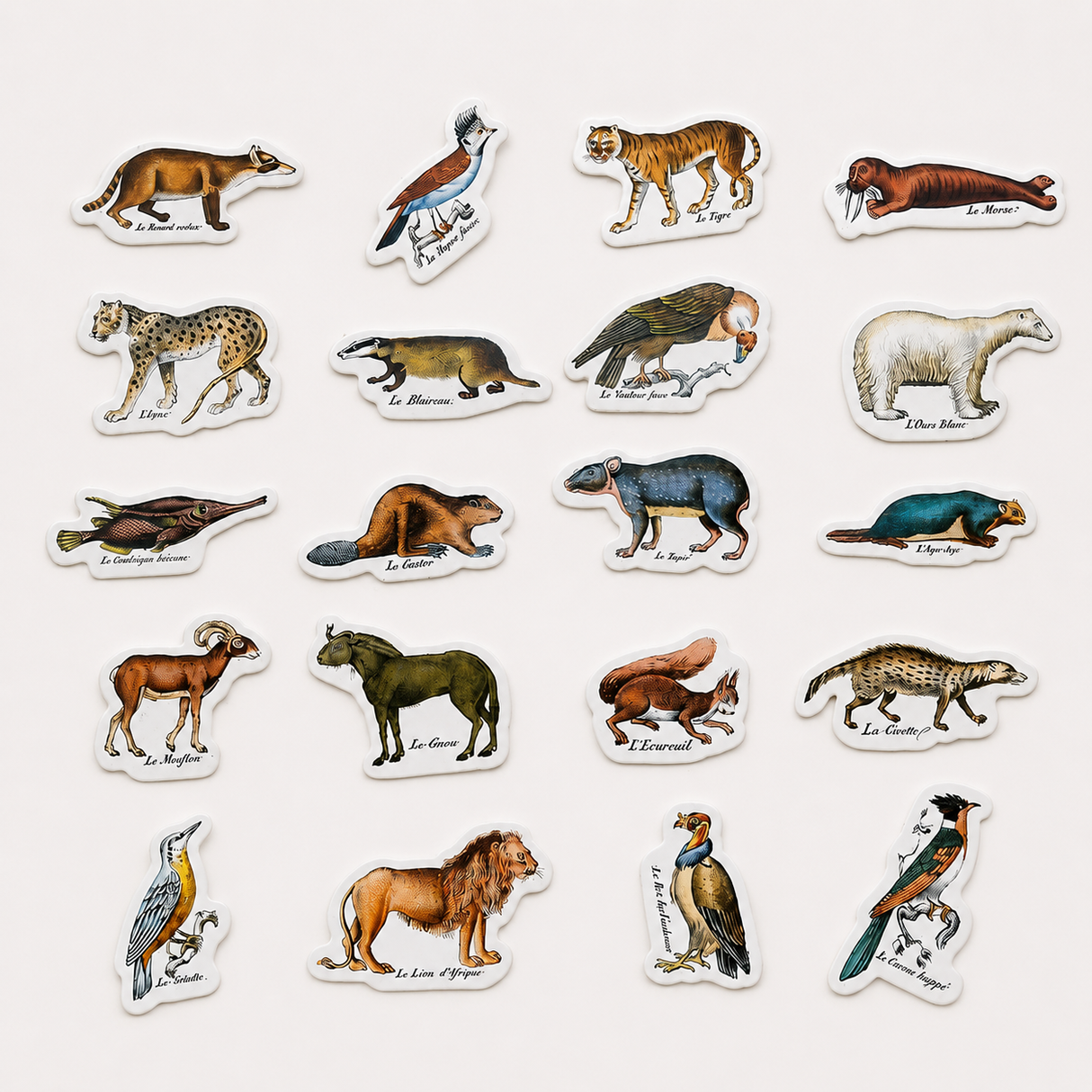 Magnets zoologiques de Buffon