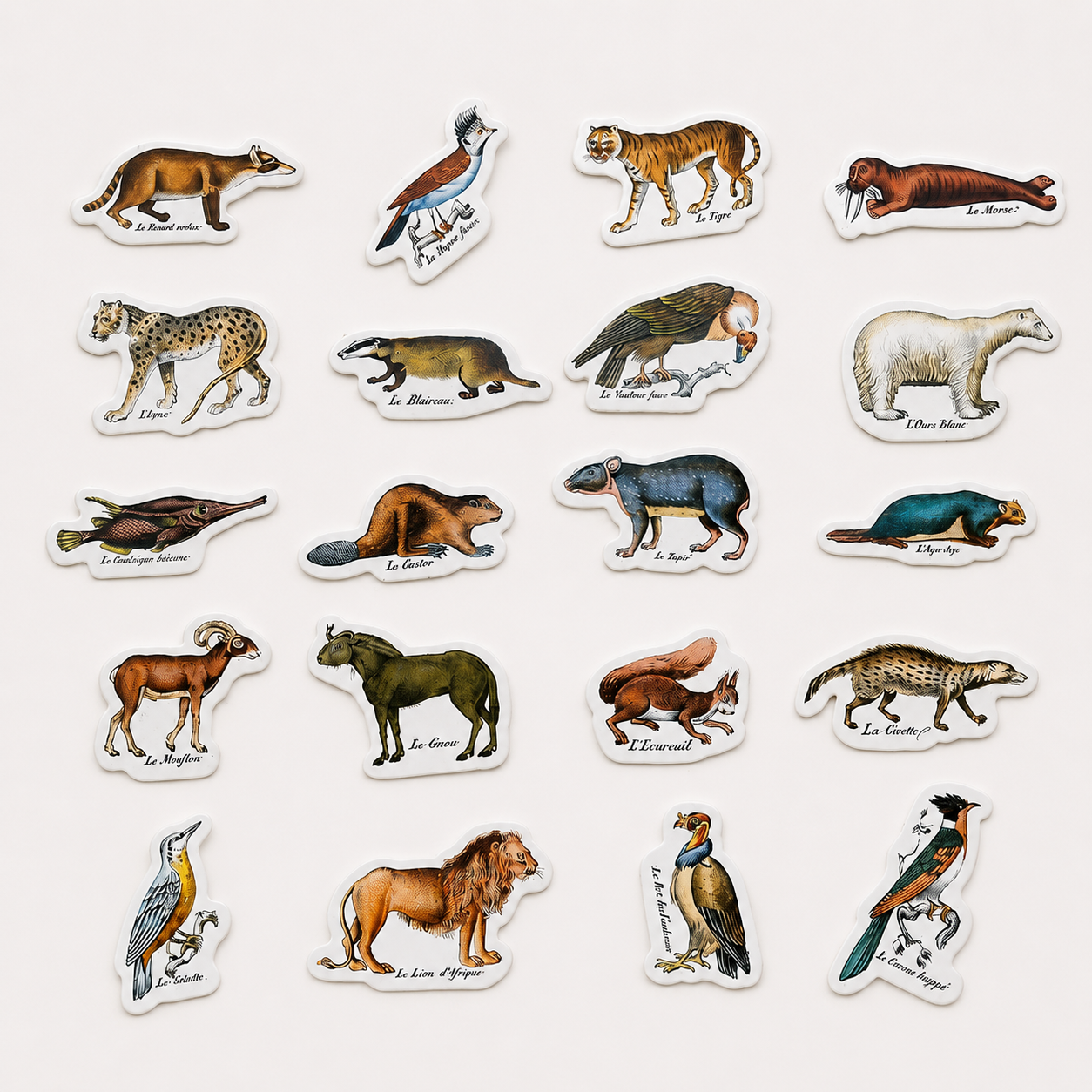 Magnets zoologiques de Buffon