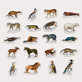 Magnets zoologiques de Buffon